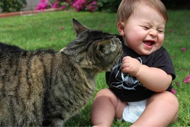 кошка и смеющийся ребенок