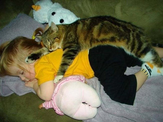 девочка и кошка спят