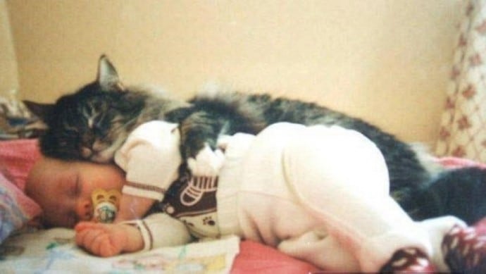кот спит рядом с ребенком