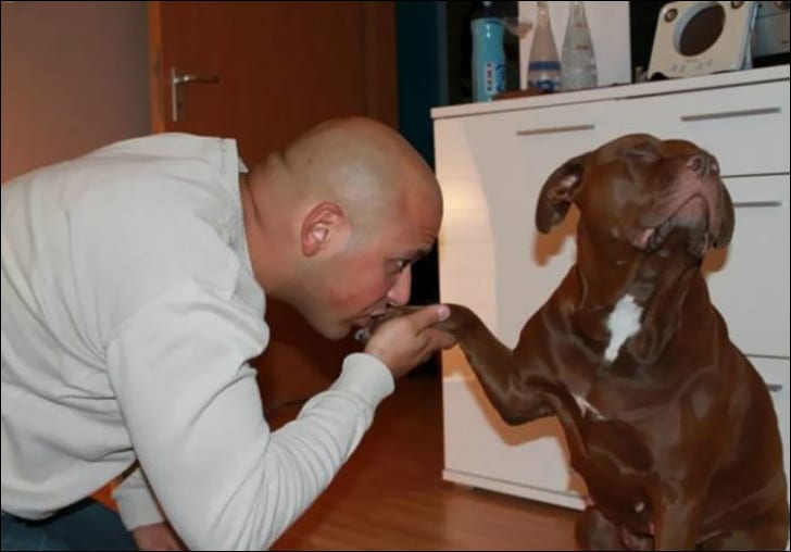 мужчина целует лапу собаке