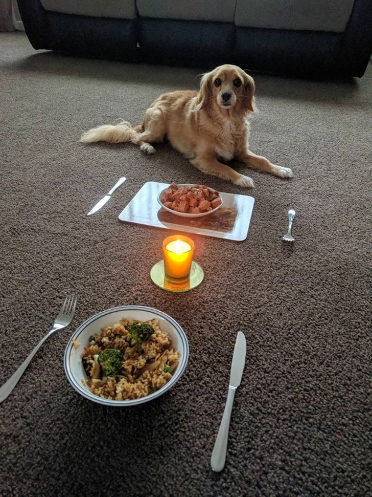 ужин на двоих с собакой