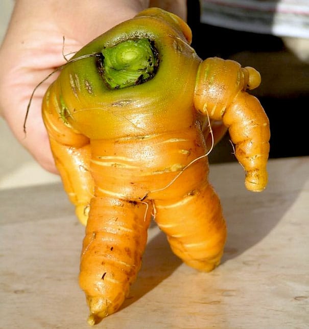 мускулистая морковка