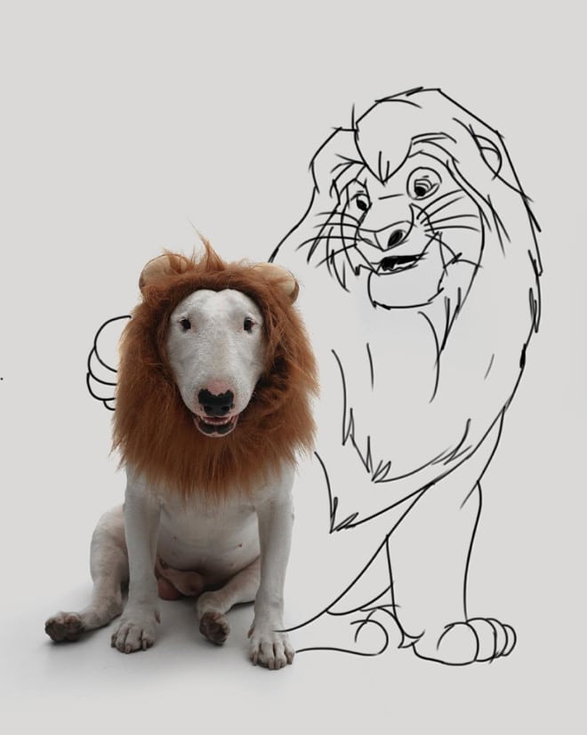 питбуль рядом с нарисованным львом