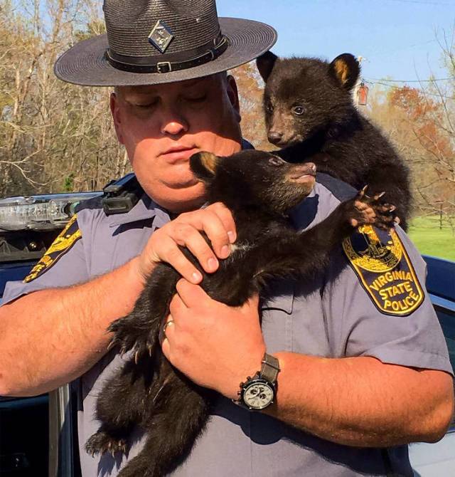 медвежата на руках у полицейского