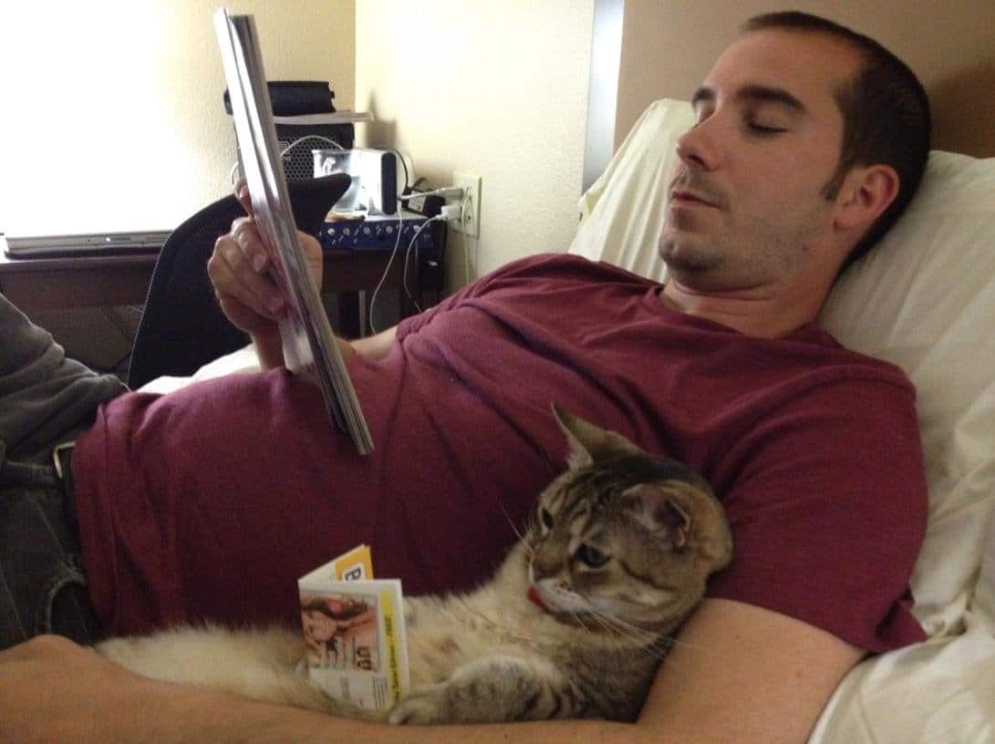 кот читает рядом с хозяином