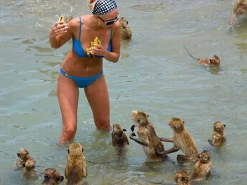 девушка и обезьяны