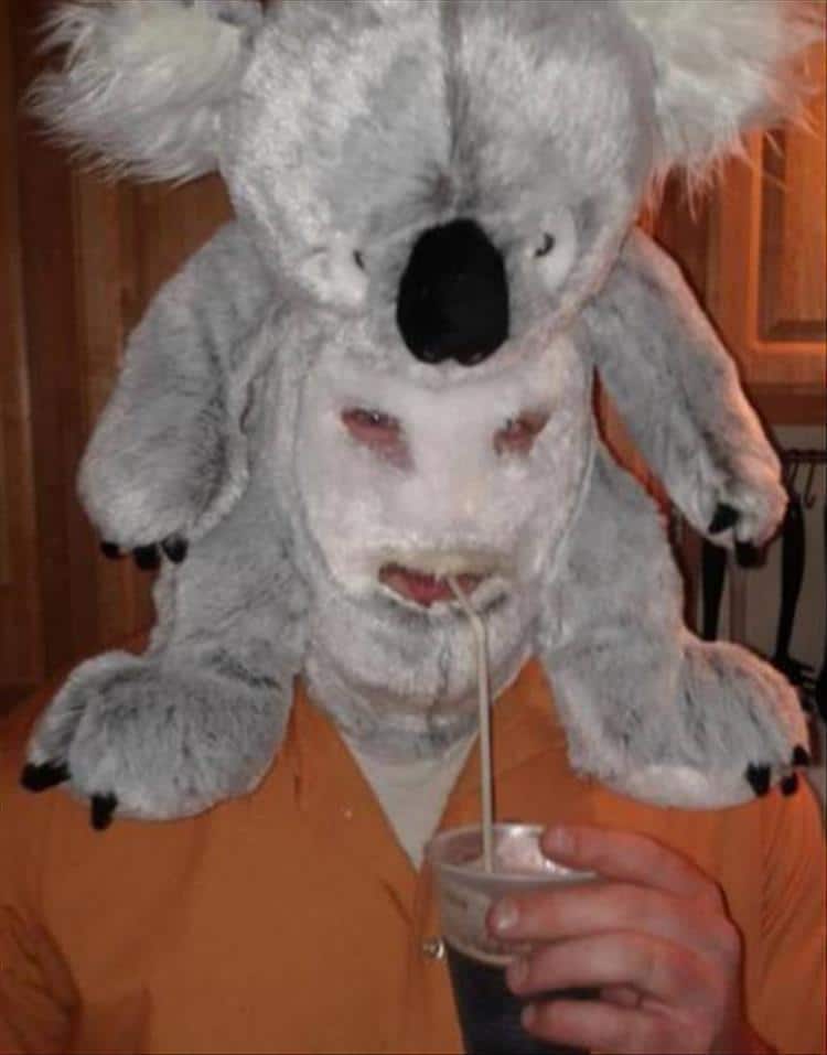 парень с коалой игрушкой на голове