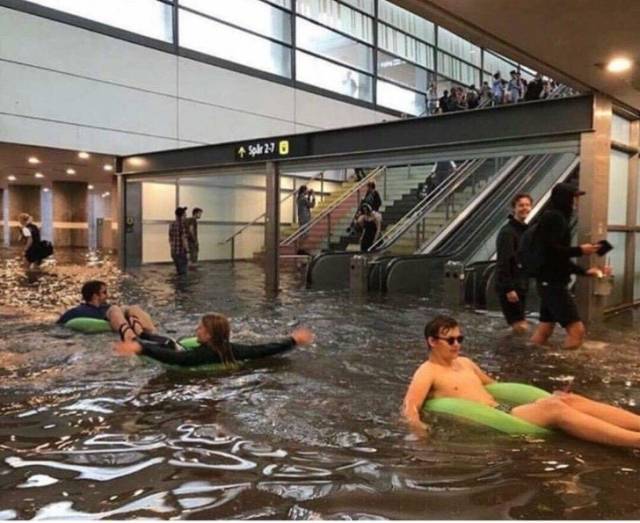 люди плавают в торговом центре