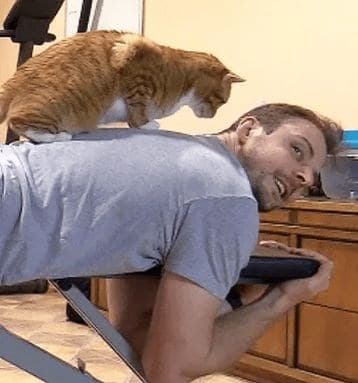 кот сидит на спине у мужчины