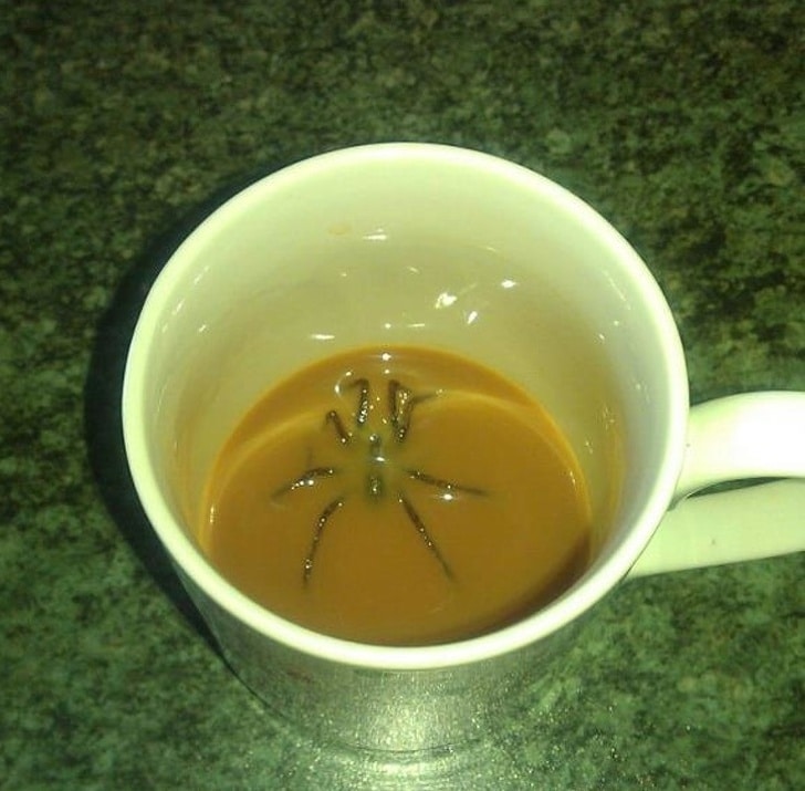 паук в чашке с кофе