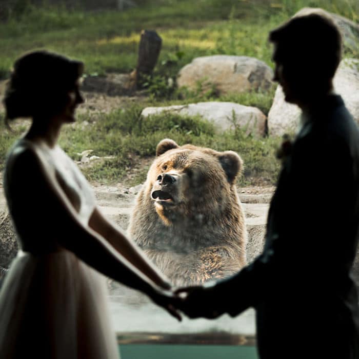 свадебные фото, свадебные фото с животными