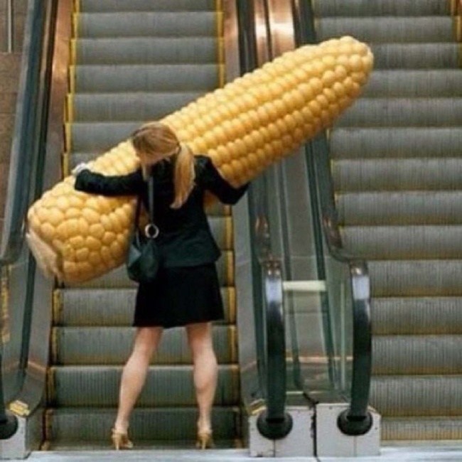девушка с большой кукурузой в руках