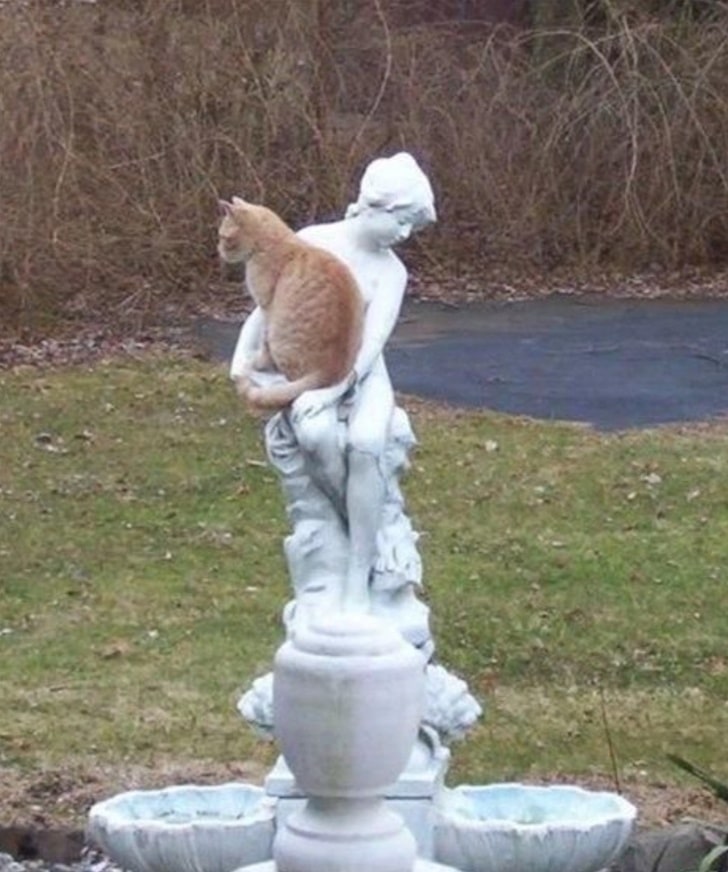 рыжий кот сидит на статуе