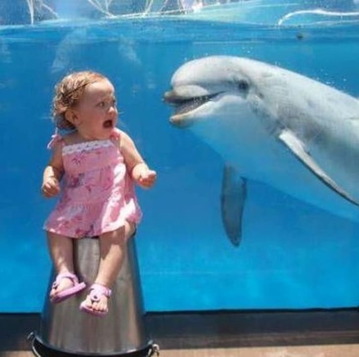 фото с дельфином