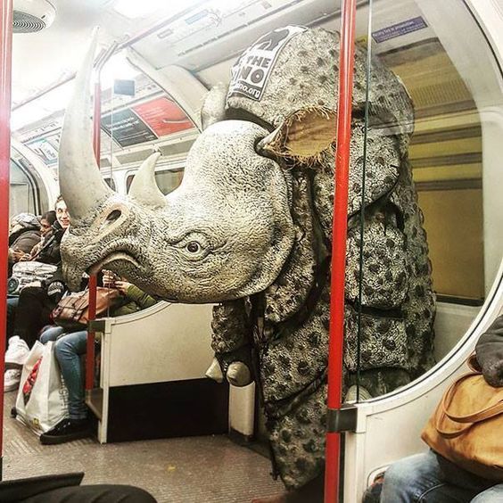 носорог в метро