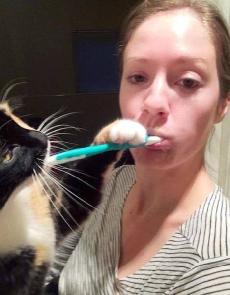 девушка чистит зубы с котом