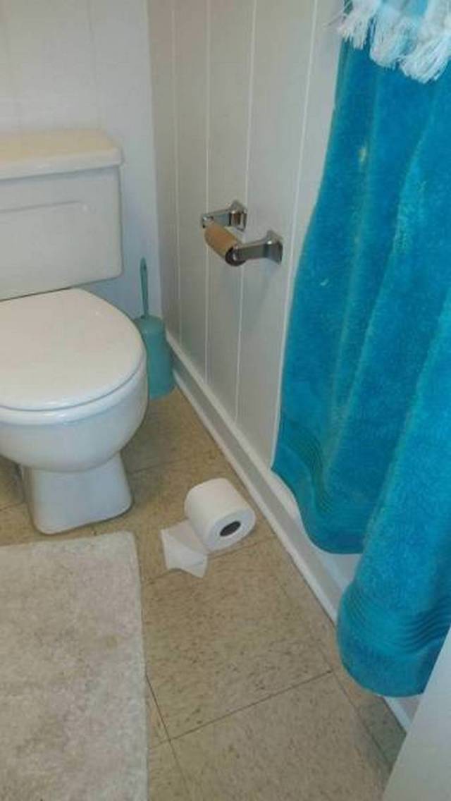 туалетная бумага на полу