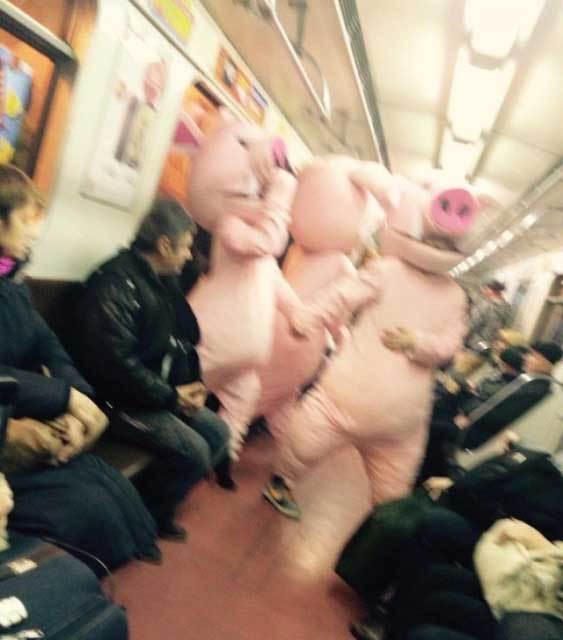 люди в костюмах свиней