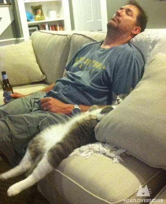 кот и мужчина спят на диване