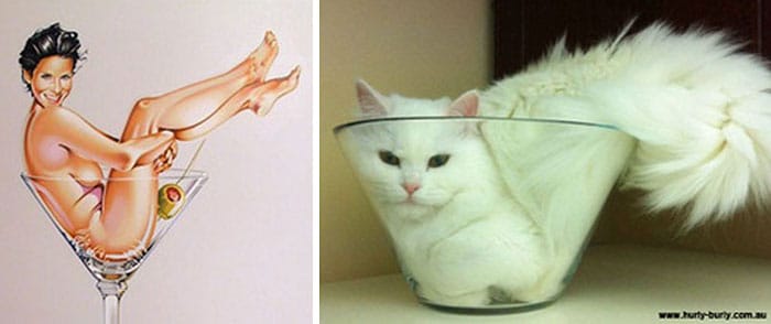 девушка в бокале и кошка в миске