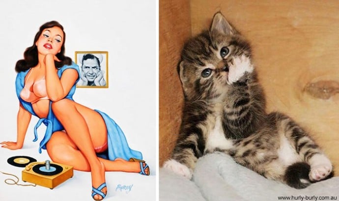 пин-ап девушка и полосатый котенок