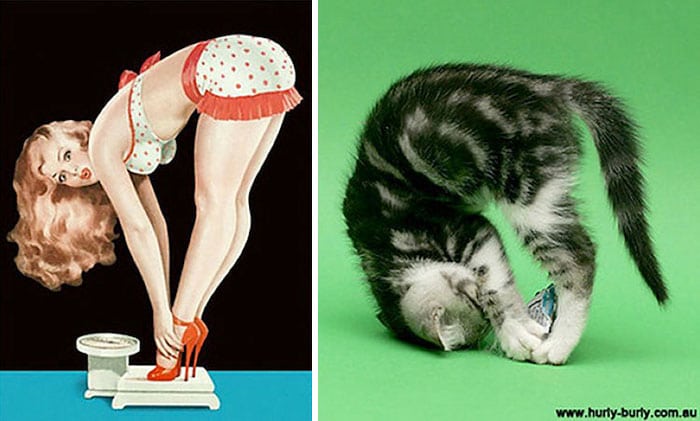 девушка пин-ап и полосатый котенок