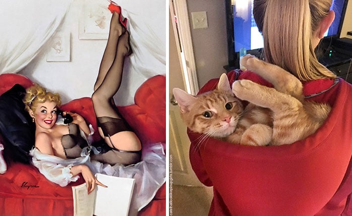 девушка пин-ап и рыжий кот