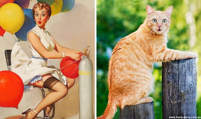 пин-ап девушка и рыжий кот