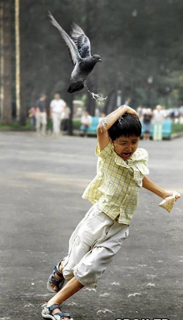 голубь летит над мальчиком
