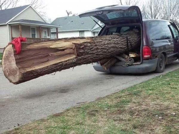 ствол дерева в машине