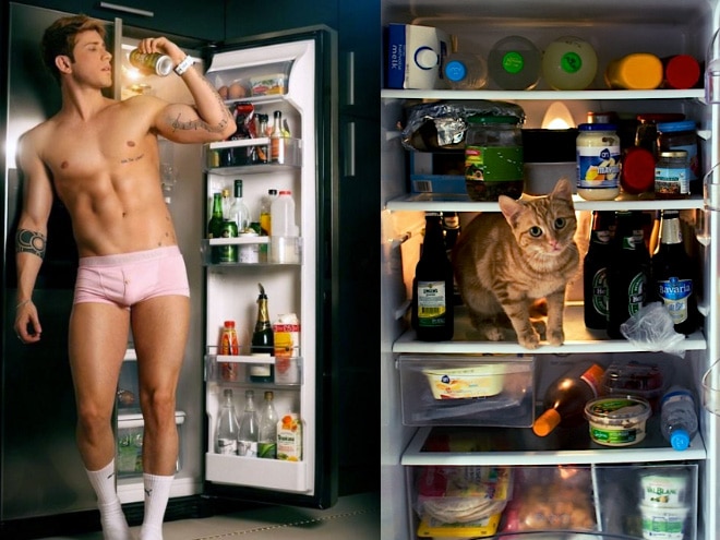 парень у холодильника и кот в холодильнике
