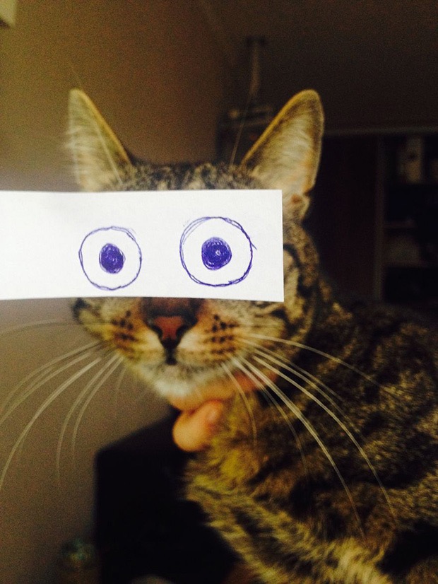 полосатый кот с нарисованными глазами