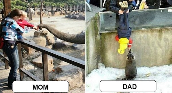 дети с родителями в зоопарке