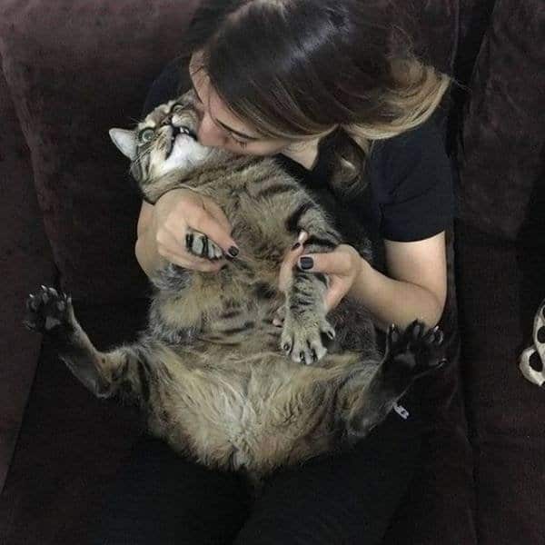 девушка целует кота