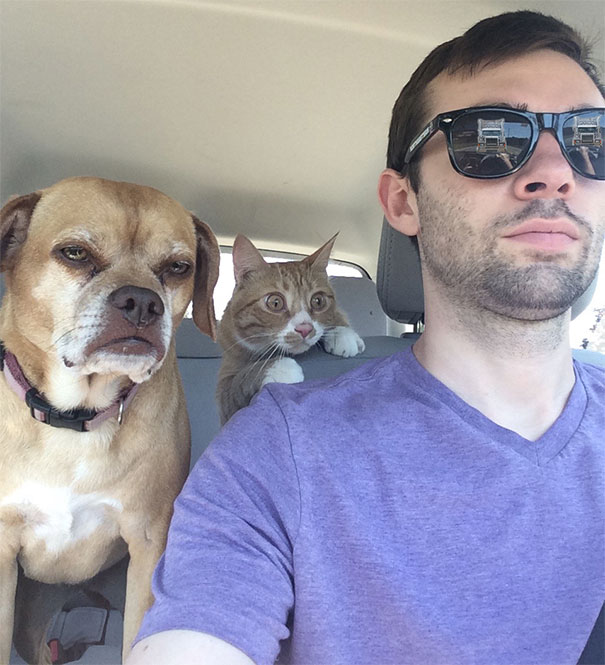 парень с котом и собакой в машине