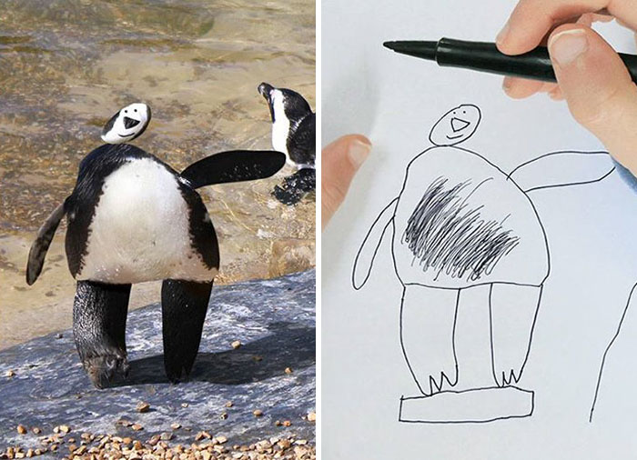 рисунок пингвина