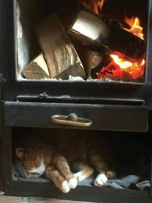 кот спит под камином