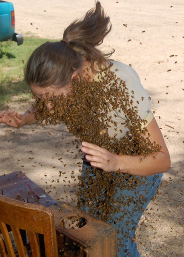 пчелы облепили девушку