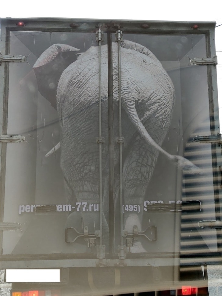 слон нарисованный на грузовике