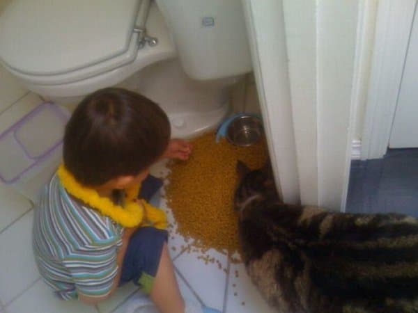 мальчик с котом в туалете