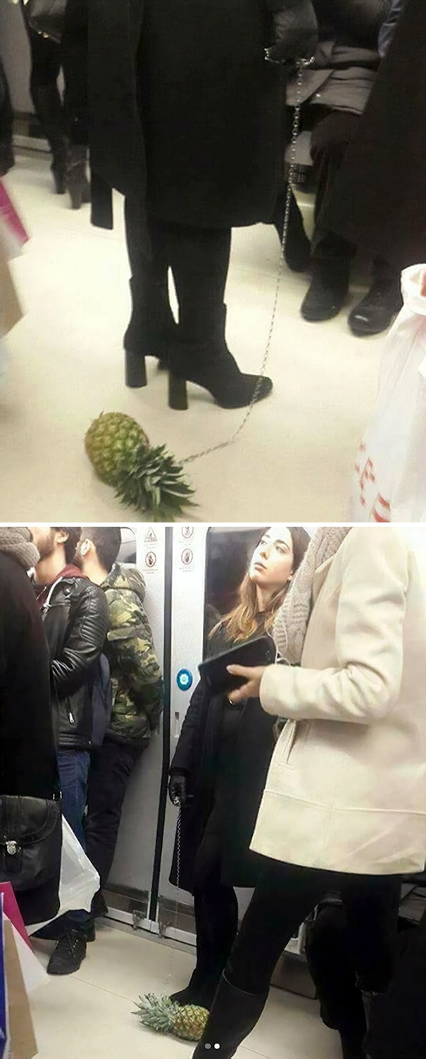 девушка с ананасом на поводке