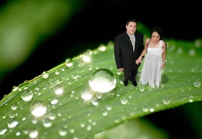жених и невеста на листочке