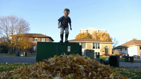 мальчик прыгает в листья