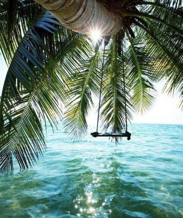 пальмы и океан