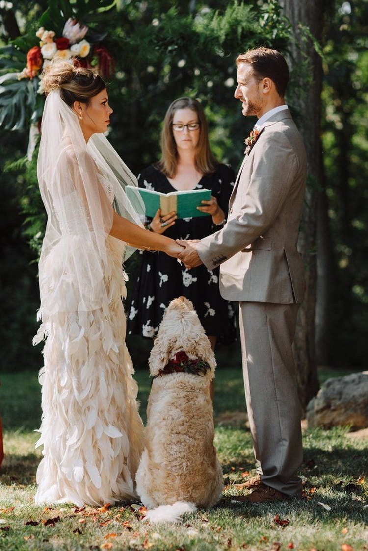 невеста жених бракосочетание и собака