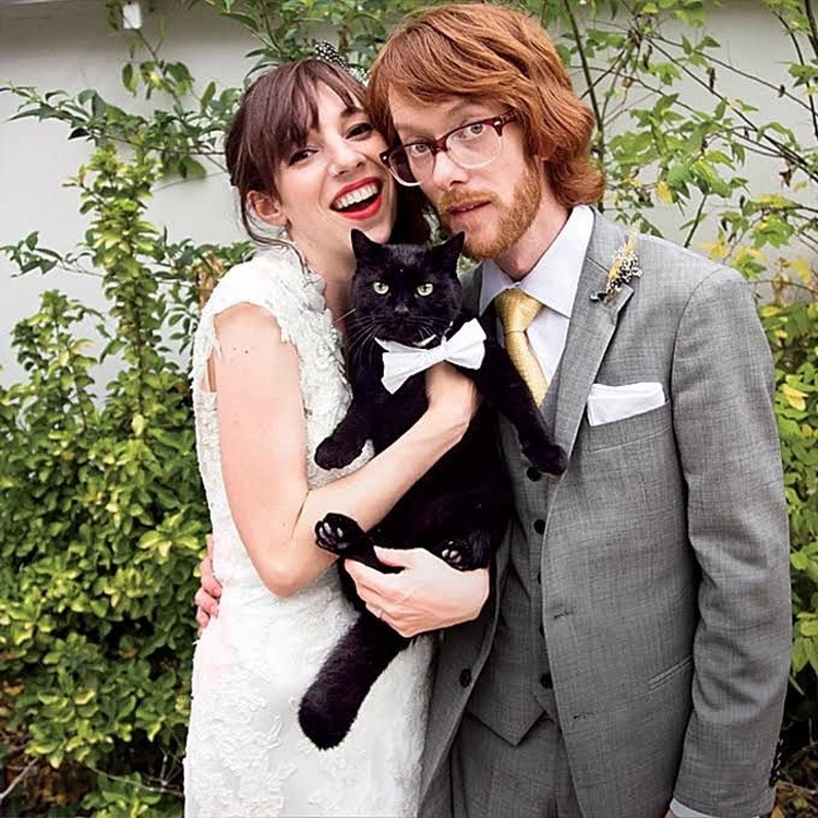 невеста жених и черный кот на руках