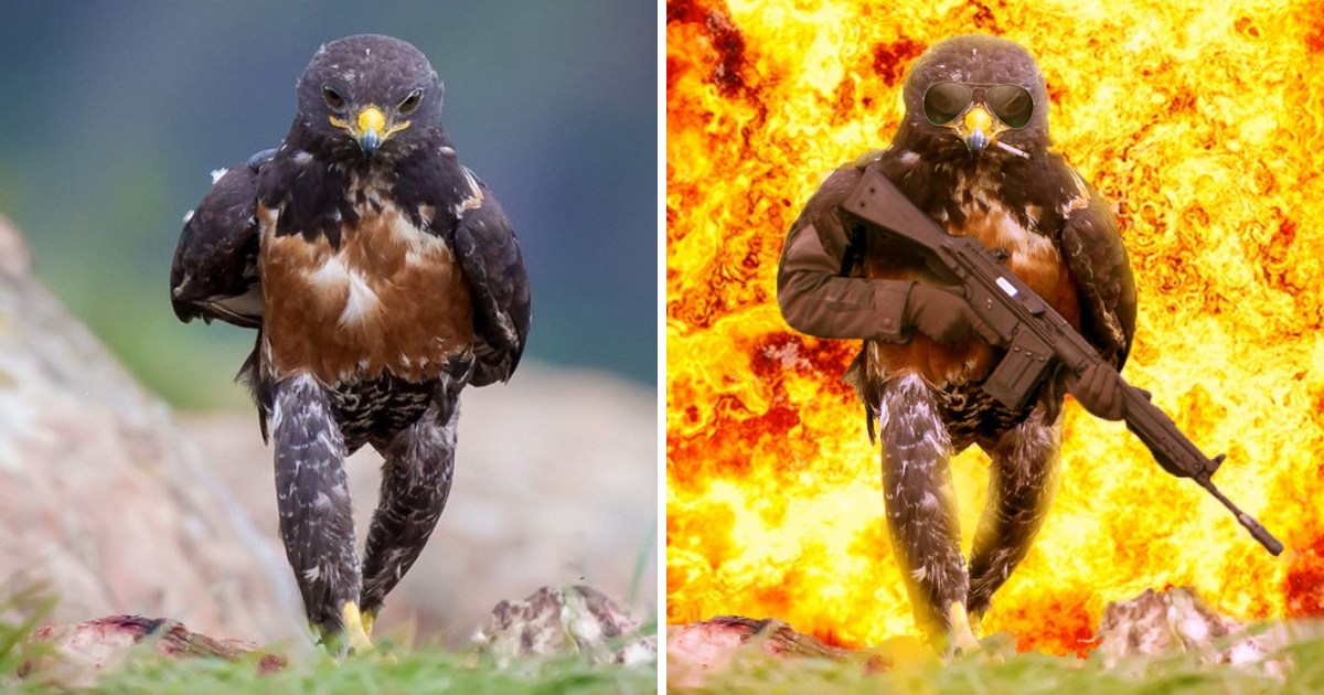 орел с оружием шагает в огне