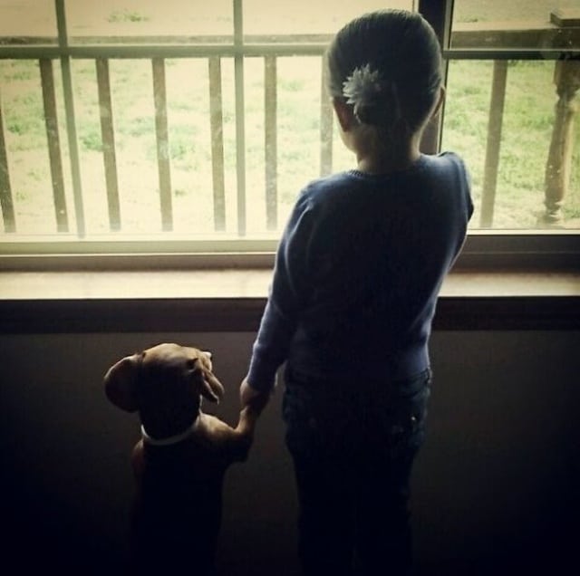 девочка стоит с собакой