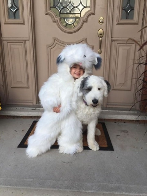 пес и ребенок в костюме