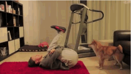 пес занимается гимнастикой
